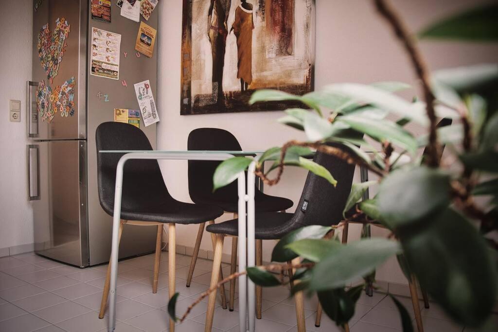 Tolle Wohnung In Zentraler Lage In 新乌尔姆 外观 照片