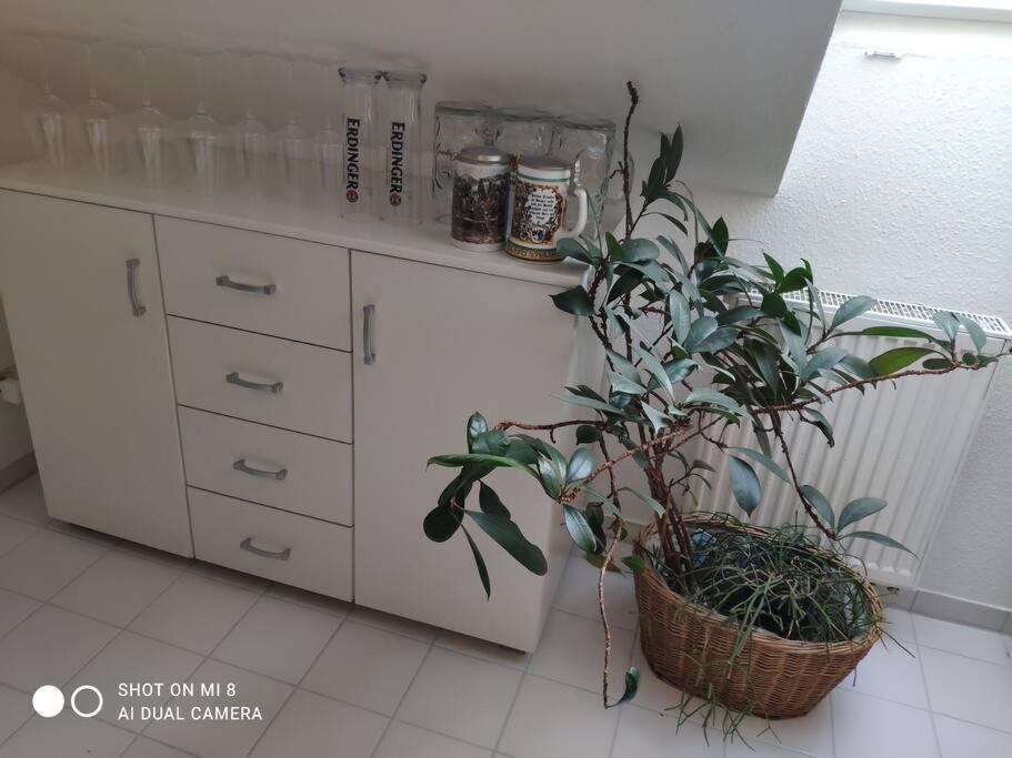 Tolle Wohnung In Zentraler Lage In 新乌尔姆 外观 照片