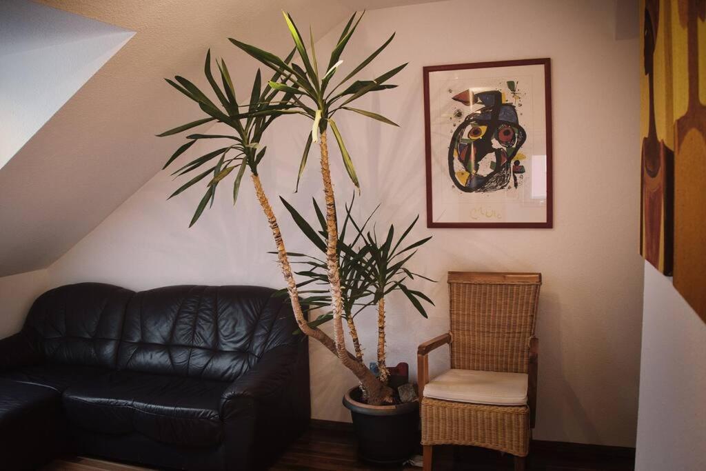 Tolle Wohnung In Zentraler Lage In 新乌尔姆 外观 照片
