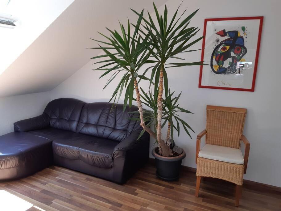 Tolle Wohnung In Zentraler Lage In 新乌尔姆 外观 照片